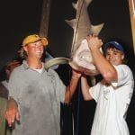 article image -